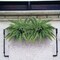 6-Pack: Boston Fern Plant with 42 Silk Fronds, 34" Wide by Floral Home®, Floral Home by Artificial Flowers